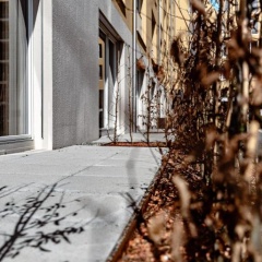 NEW OPENING 2022 - Los Lorentes Apartments Bern City - Bild 9