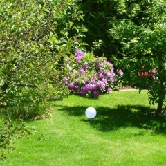 Ferienwohnung Baude - Bild 5