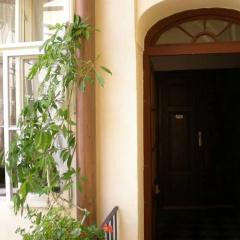 Little Town budget hotel - Bild 16