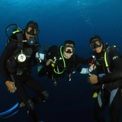 Taveuni Dive Resort thumbnail 14