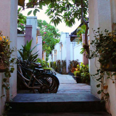 Black Penny Villas - Bild 19