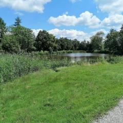 Parkschlössl zu Thyrnau - Bild 20