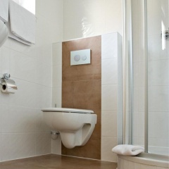 Hotel Am Braunen Hirsch - Bild 4