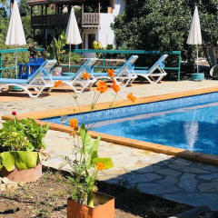 Suleyman's Garden - Bild 2
