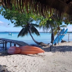 Pension Raita in Ahe, French Polynesia from 170$, photos, reviews - zenhotels.com photo 11