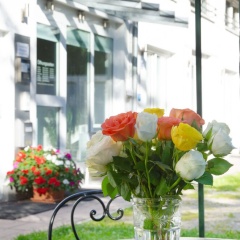 Pension Carl - Bild 13