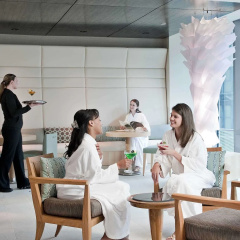 Fairmont Pittsburgh thumbnail 33