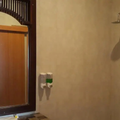 Asiana Lovina Hotel - Bild 8
