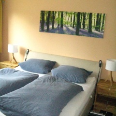 Hotel Zum Forsthaus - Bild 18