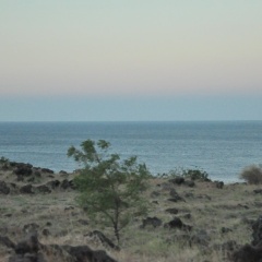 Tulamben Backpacker - Bild 7