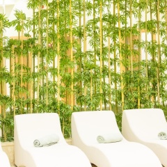 Falcon Hotel - Bild 10