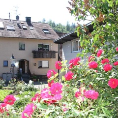 Apartment Baden Baden Haus am Ibachweg - Bild 1