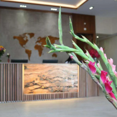 Grand Hotel Downtown - Bild 18