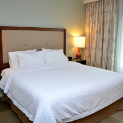 Hampton Inn & Suites Deland thumbnail 37