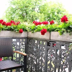 Am Blumenhaus - Bild 13