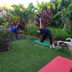Mulia Home Stay - Bild 23
