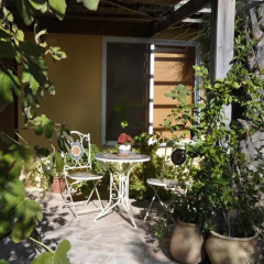 The OLive Tree thumbnail 1