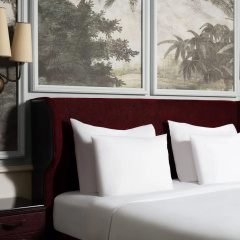 Adahan DeCamondo Pera, Autograph Collection - Bild 6