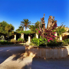 Finca Son Sampoli - Bild 9