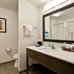 Hampton Inn Kenedy thumbnail 9