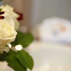 Hotel Kiel by Golden Tulip - Bild 13