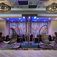 Rochester Airport Marriott thumbnail 28