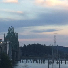 Bay Bridge Motel thumbnail 30