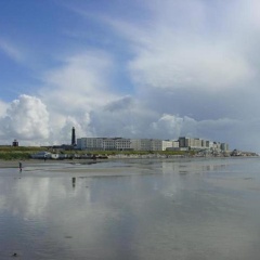 Moewennestchen - Bild 15
