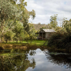 The Burrow At Wombat Bend thumbnail 3