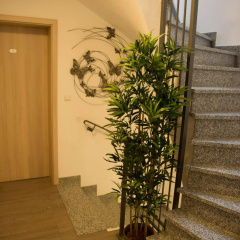Hotel Pension Dorfschänke - Bild 9