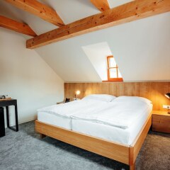 Отель Resla Residence Словакия, Банска-Штьявница - отзывы, цены и фото номеров - забронировать отель Resla Residence онлайн фото 25