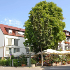 Hotel Ochsen - Bild 1