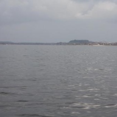 Seerose - Bild 9
