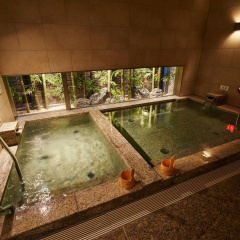 Super Hotel Premier Akasaka thumbnail 23