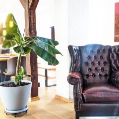 Mosel Loft - Bild 8