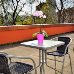 Hotel Ulmer Stuben - Bild 17