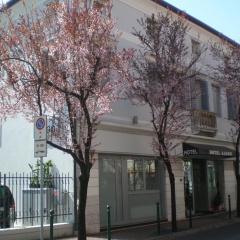 Hotel Aaron - Bild 1