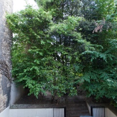 Superb House Neuilly-sur-seine - Bild 10