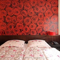 Hotel Arosa - Düsseldorf Oberkassel - Bild 3