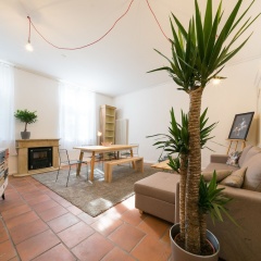 Apartments im Holländischen Viertel - Bild 2