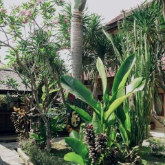 Medewi Beach Inn - Bild 20