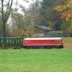 Adler - Bild 12