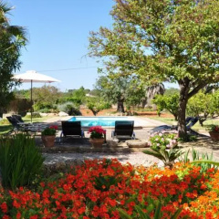 Camp Roig - Bild 2