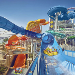 Atlantis, The Palm - Bild 27