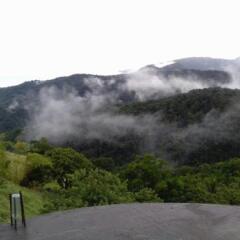 Matthew's Miracle View in Massacre, Dominica from 63$, photos, reviews - zenhotels.com photo 13