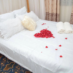 Thames Hotel thumbnail 30
