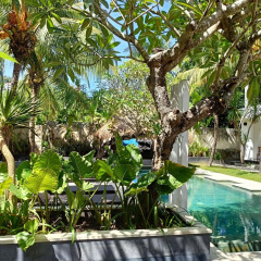 Alam Mimpi Hotel - Bild 11