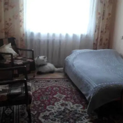 Apartments Nizhniy Shuvar photo 2