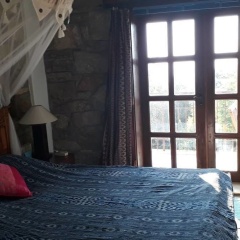 Lazy Lizard Boutique-Hotel - Bild 3
