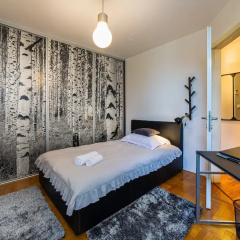 Zen Luxury Apartment thumbnail 7